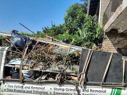 Best Shed Removal  in Hollandale, MS